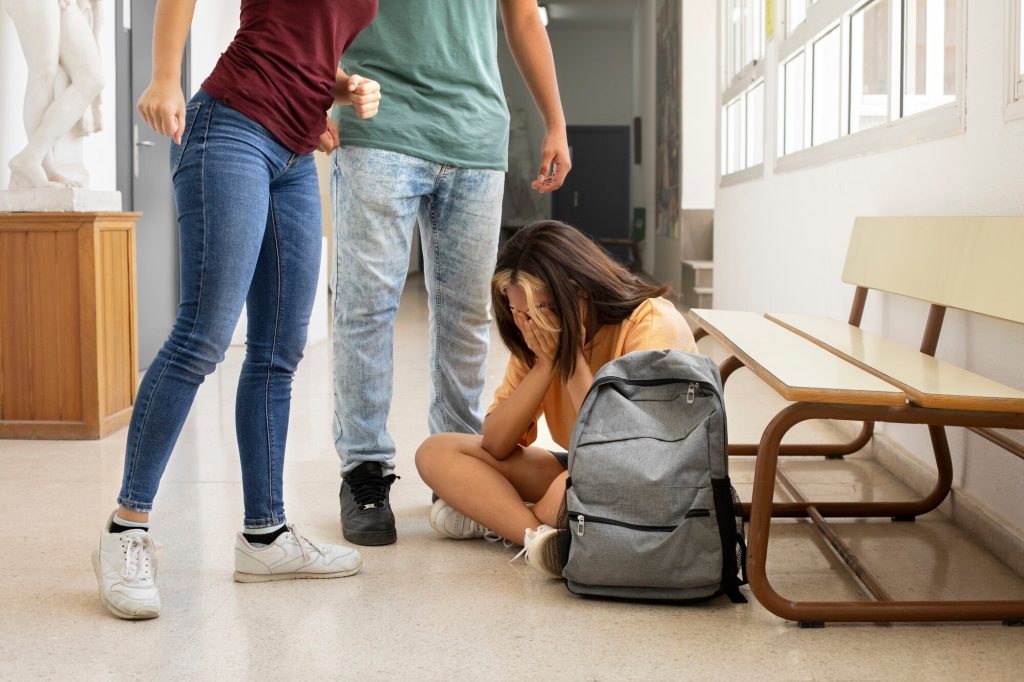 Qué es el acoso escolar