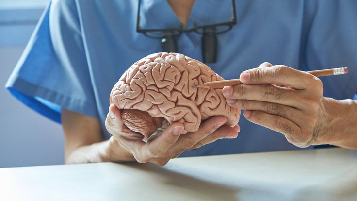Envejecimiento cerebral